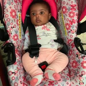 Meet your Posher, Misker